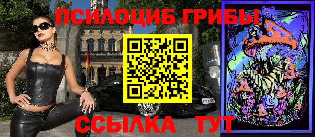 Галлюциногенные грибы прущие грибы Костомукша
