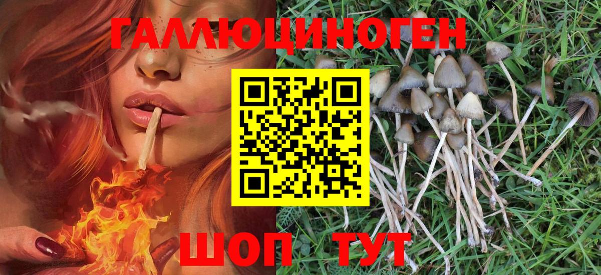 Костомукша  Псилоцибиновые грибы MAGIC MUSHROOMS  Галлюциногенные грибы Magic Shrooms  Вход с VPN 